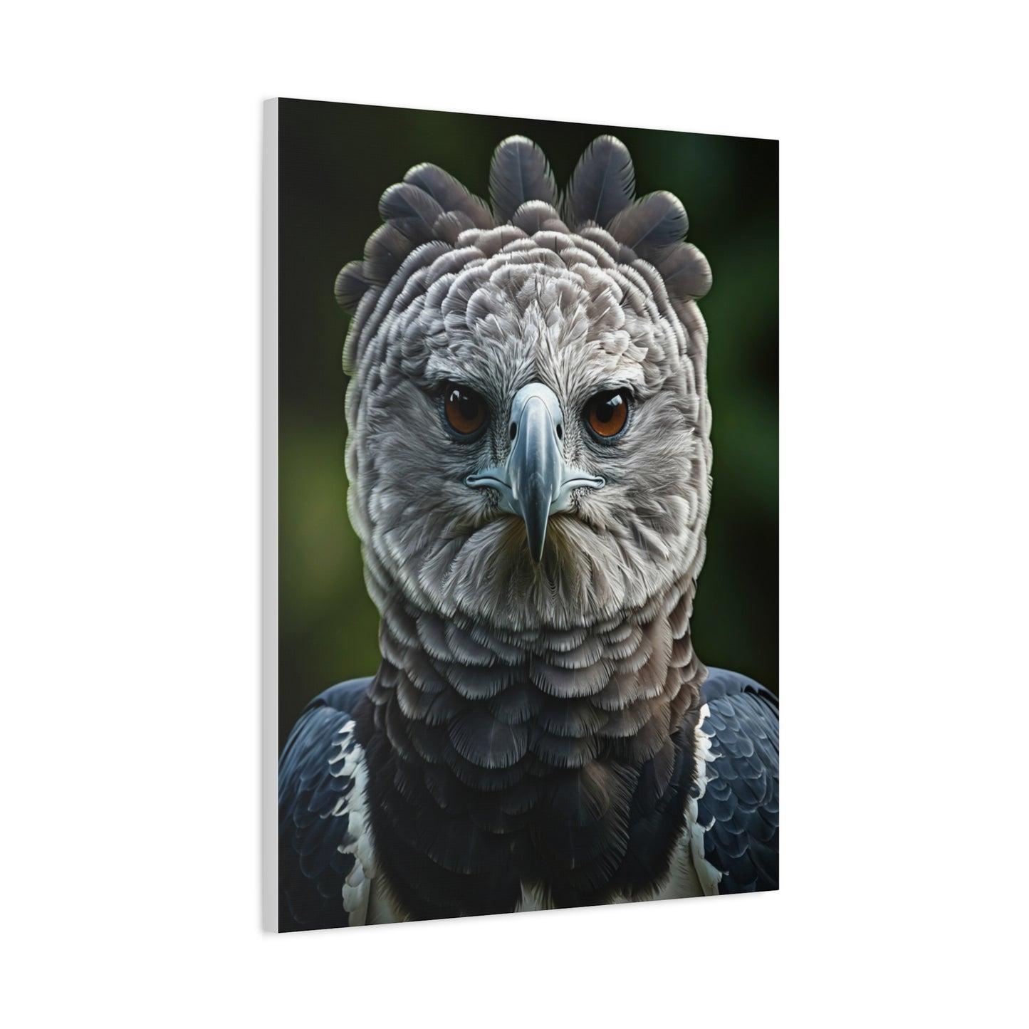 Regal Harpy Eagle Portrait Wall Art & Canvas Prints