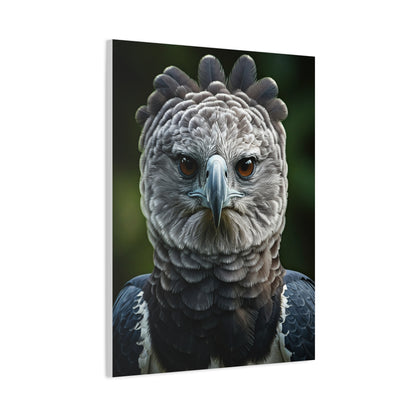Regal Harpy Eagle Portrait Wall Art & Canvas Prints