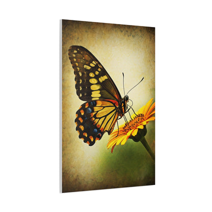 Golden Meadow Butterfly on Flower Wall Art & Canvas Prints