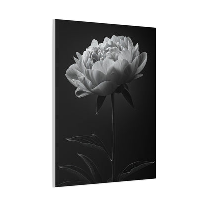 Peony Elegance in Monochrome Wall Art & Canvas Prints