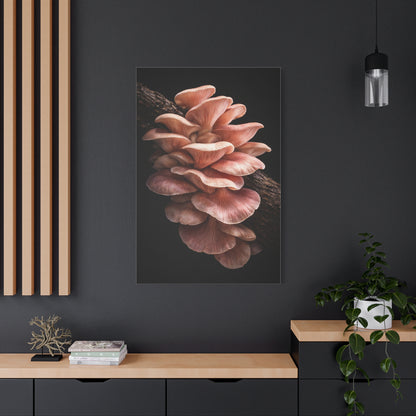 Blush Pink Oyster Mushroom Macro Study Wall Art & Canvas Print