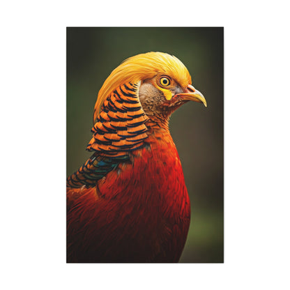 Regal Red Pheasant Portrait Wall Art & Canvas Prints