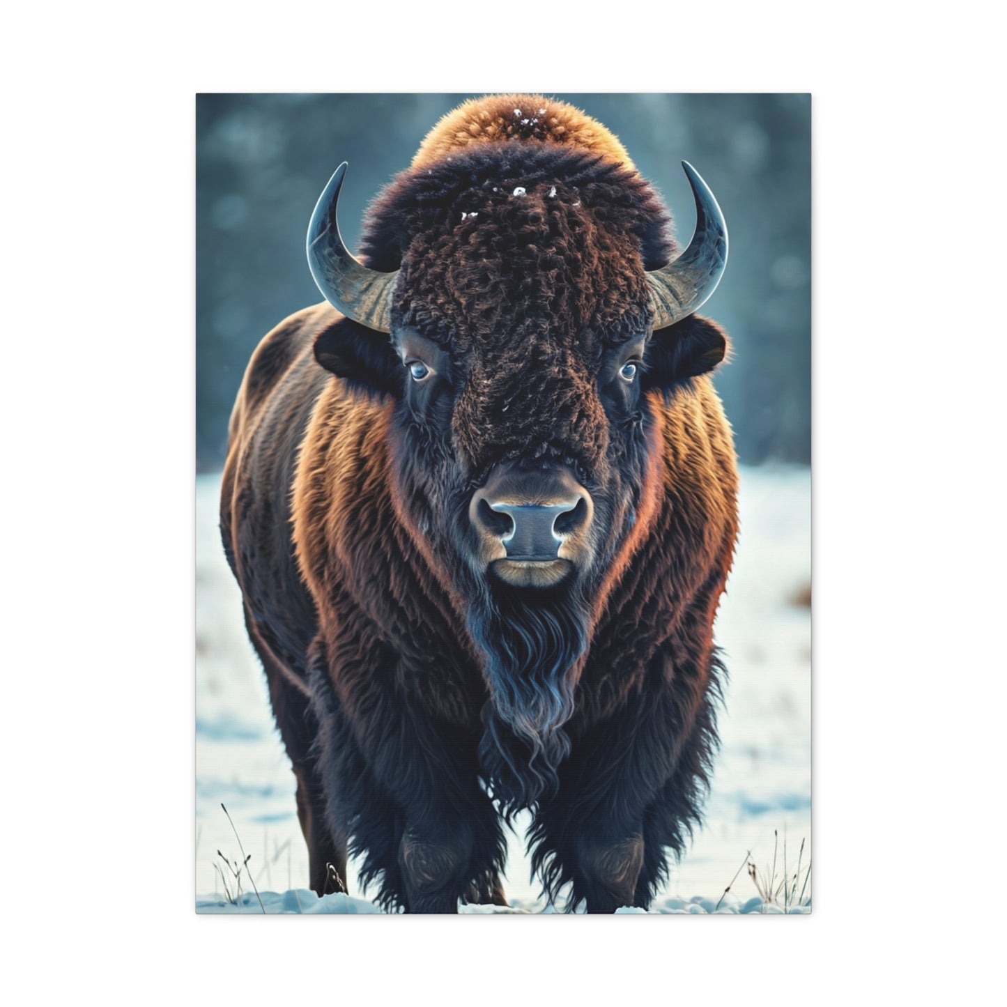 Winter American Bison in Snow Landscape Wall Art & Canvas Print