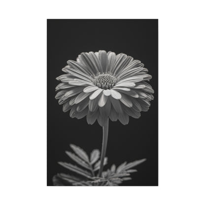 Classic Gerbera Portrait Wall Art & Canvas Prints