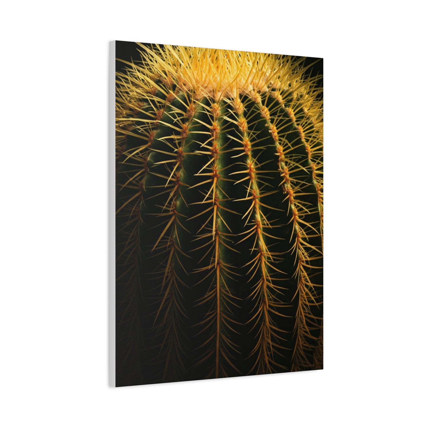 Desert Barrel Cactus Macro Texture Wall Art & Canvas Prints
