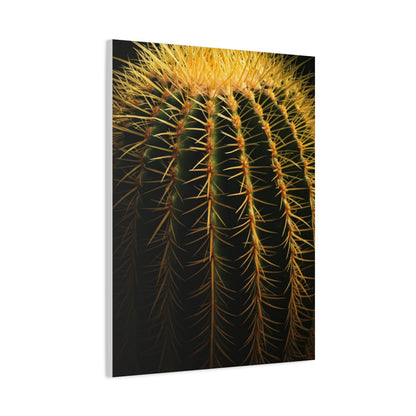 Desert Barrel Cactus Macro Texture Wall Art & Canvas Prints