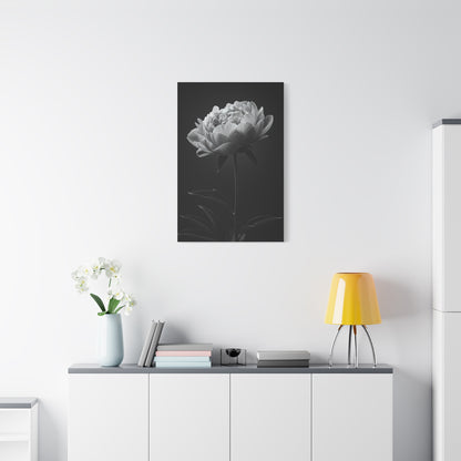 Peony Elegance in Monochrome Wall Art & Canvas Prints