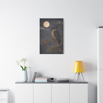 Nocturnal Pine Branch Owl Illustration Wall Art & Canvas Print