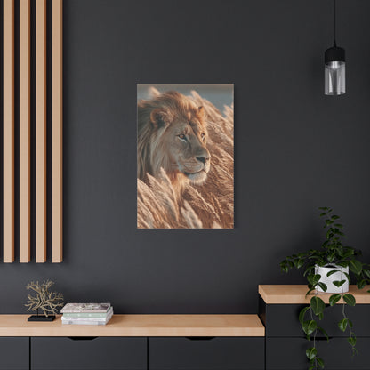 Lion in Golden Grass Calm Watch Wall Art & Canvas Print