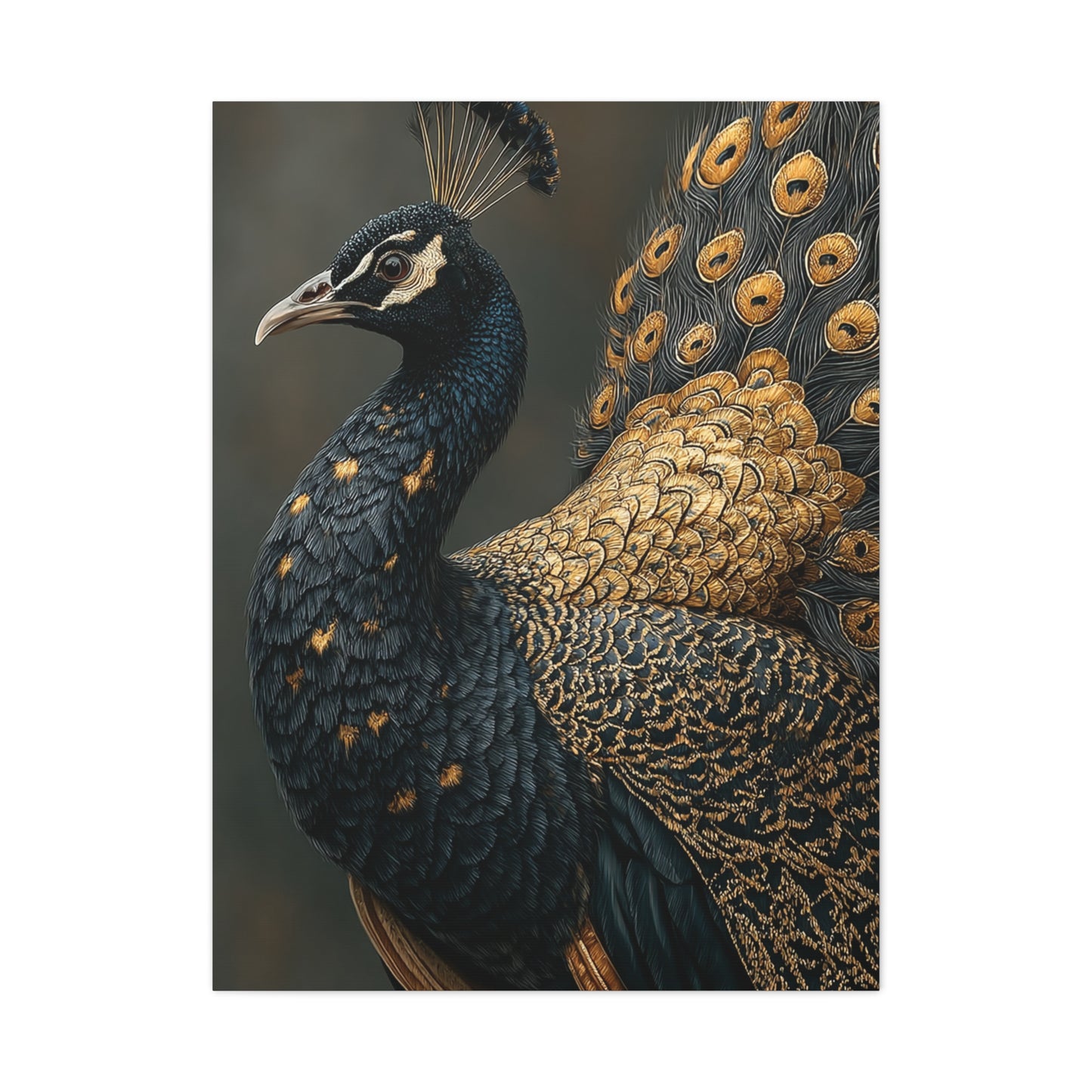 Black and Gold Peacock Elegance Wall Art & Canvas Print