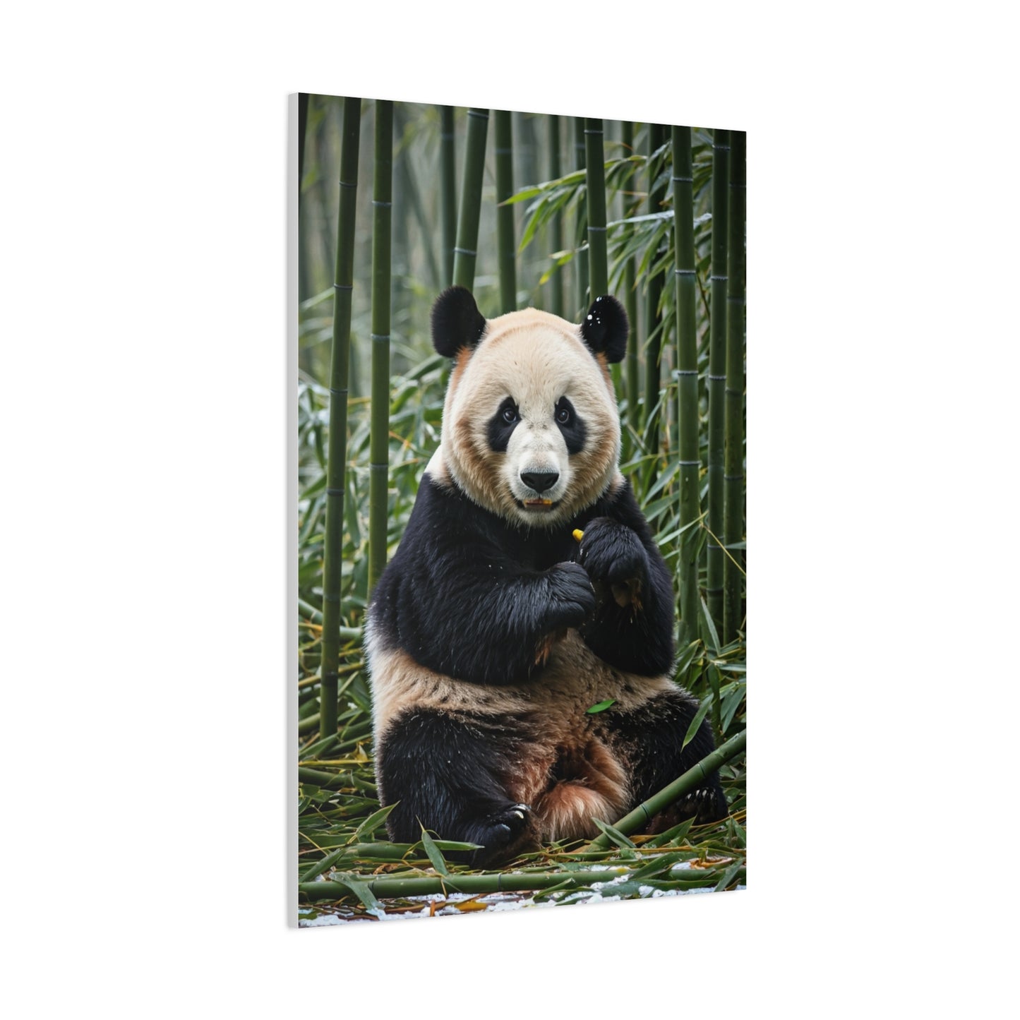Gentle Panda Among Bamboo Wall Art & Canvas Prints