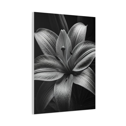 Monochrome Lily Bloom Wall Art & Canvas Prints