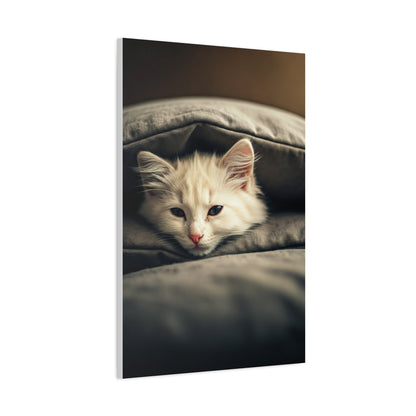 Peaceful Resting Kitten Wall Art & Canvas Prints