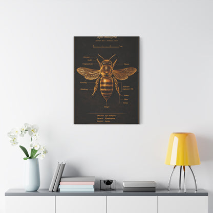 Gold Bee Entomology Study Wall Art & Canvas Print