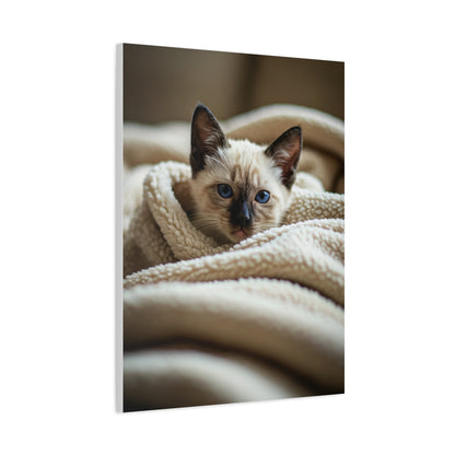 Cozy Kitten Comfort Wall Art & Canvas Prints