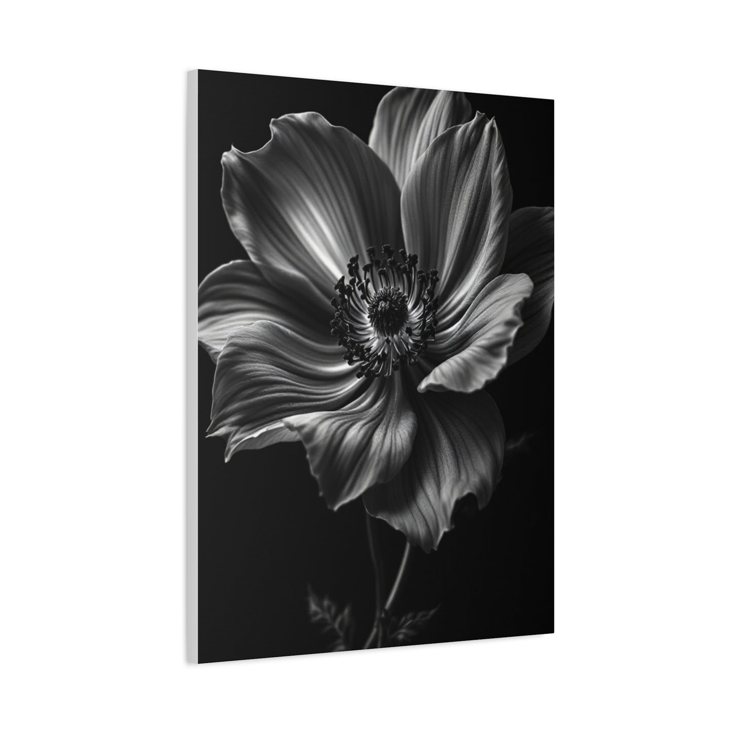 Anemone Bloom with Dramatic Center Wall Art & Canvas Prints