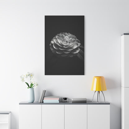 Full Bloom Camellia in Deep Contrast Wall Art & Canvas Prints
