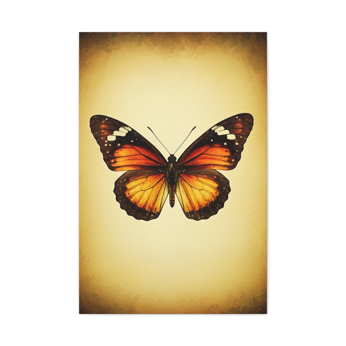 Vintage Monarch Butterfly Illustration Wall Art & Canvas Prints