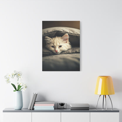 Peaceful Resting Kitten Wall Art & Canvas Prints