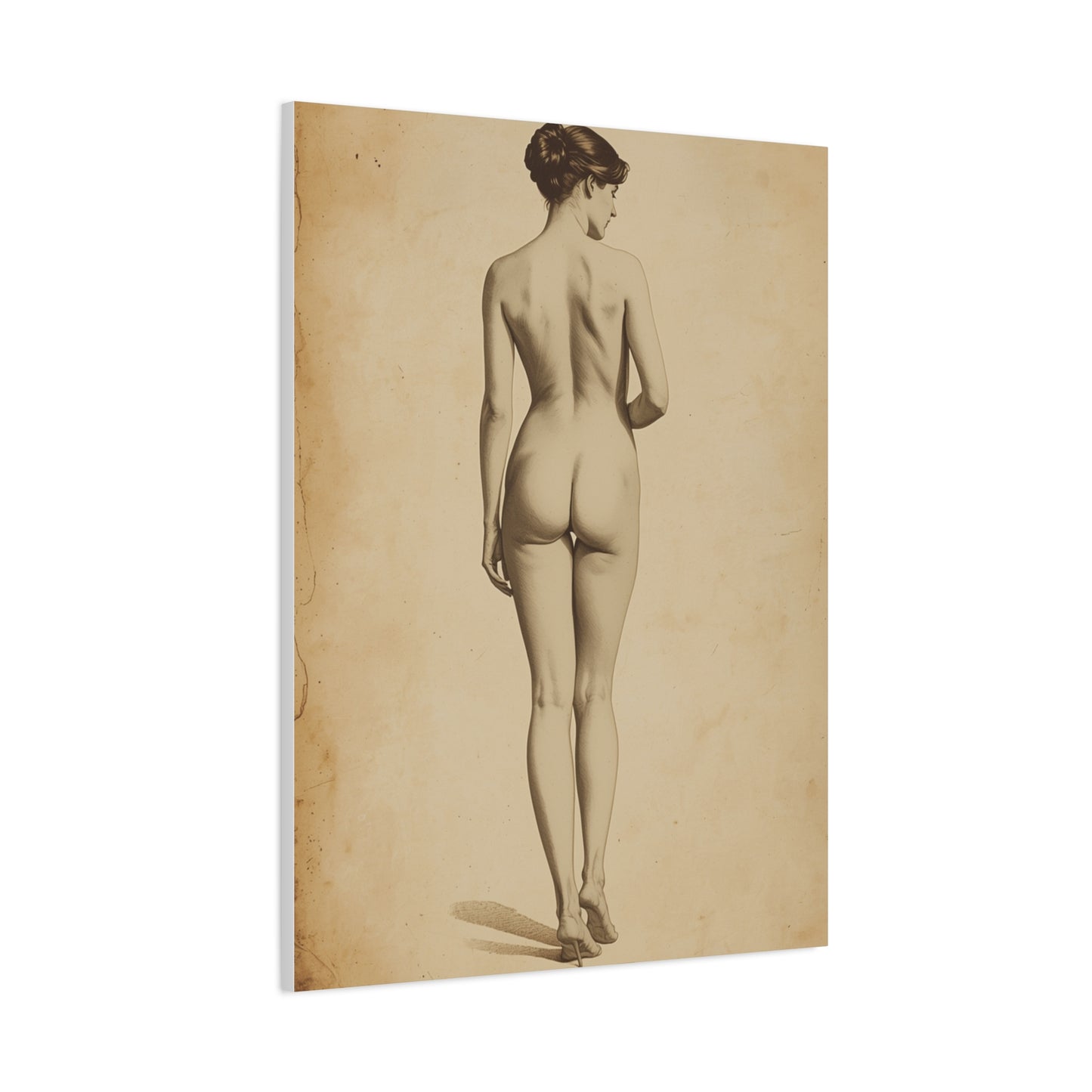 Classical Back Study Figure Wall Art & Canvas Print