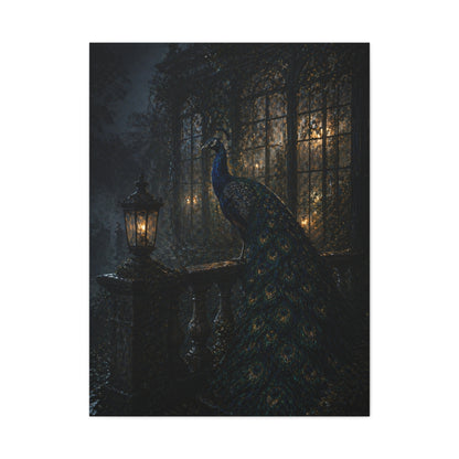 Gothic Night Peacock Balcony Wall Art & Canvas Print