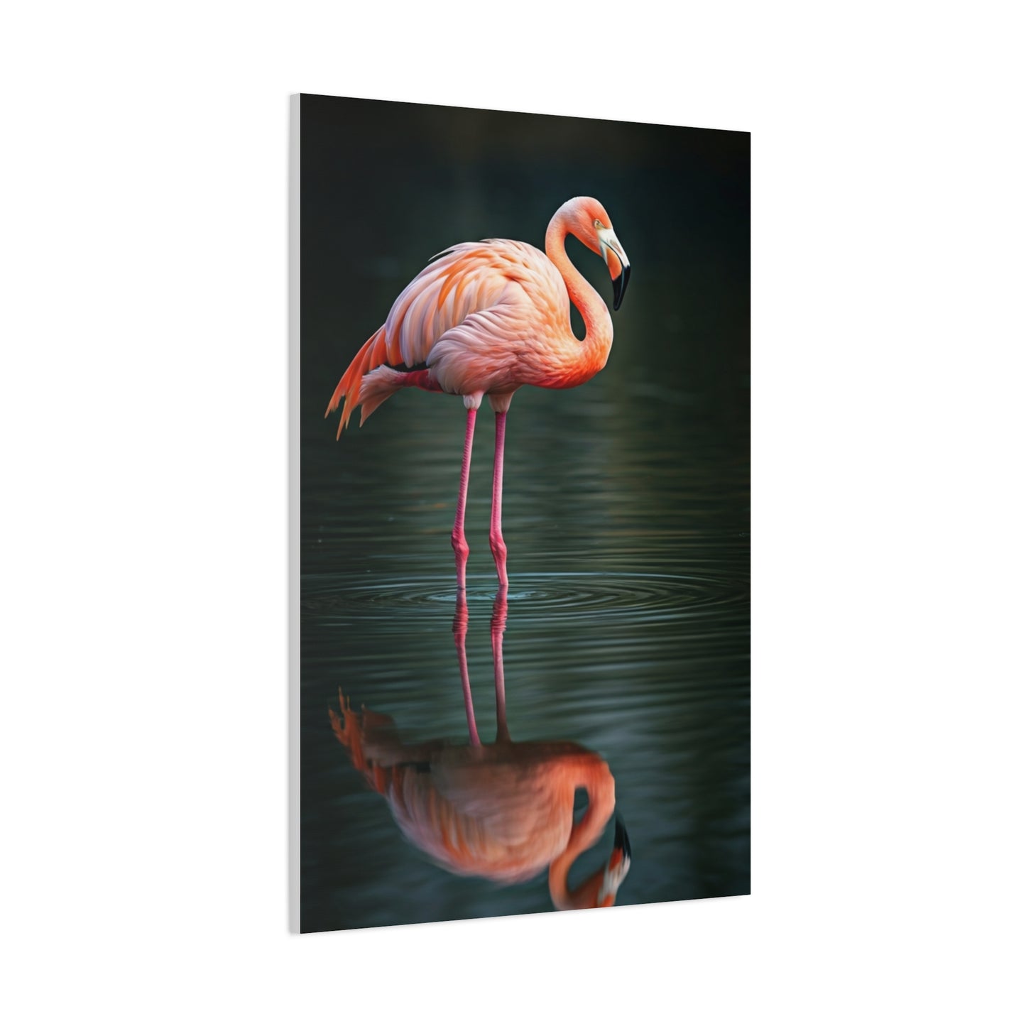 Flamingo Reflection Grace Wall Art & Canvas Prints