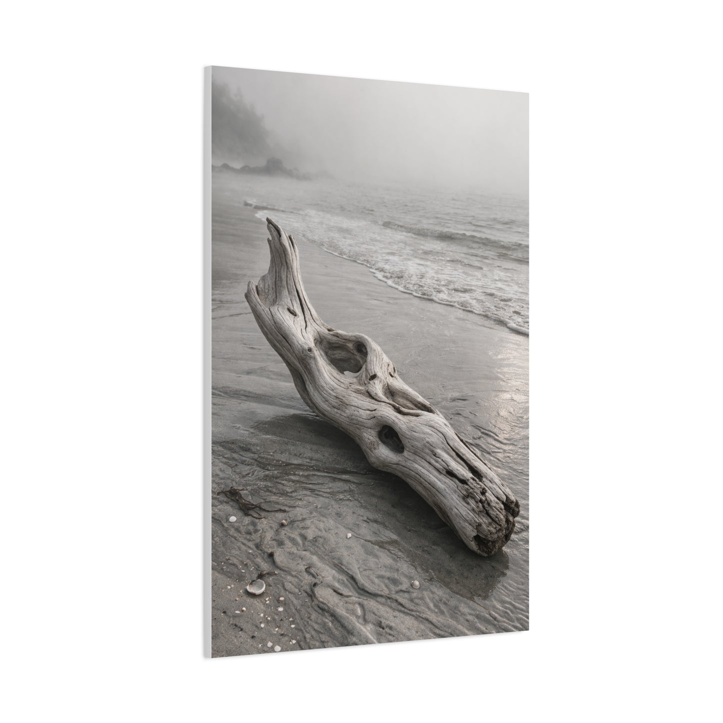 Driftwood Coastal Minimal Wall Art & Canvas Print