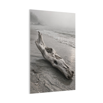 Driftwood Coastal Minimal Wall Art & Canvas Print