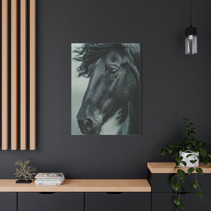 Black Stallion Close Portrait Wall Art & Canvas Print