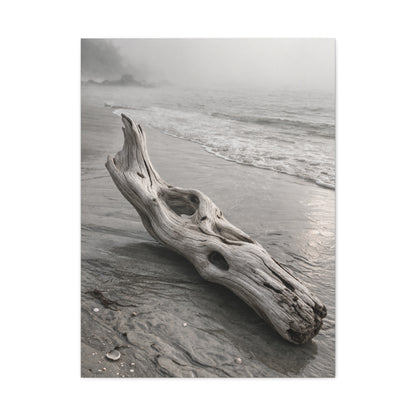 Driftwood Coastal Minimal Wall Art & Canvas Print