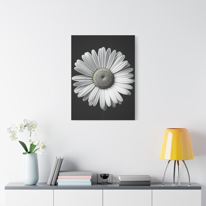White Daisy Bloom Portrait Wall Art & Canvas Prints