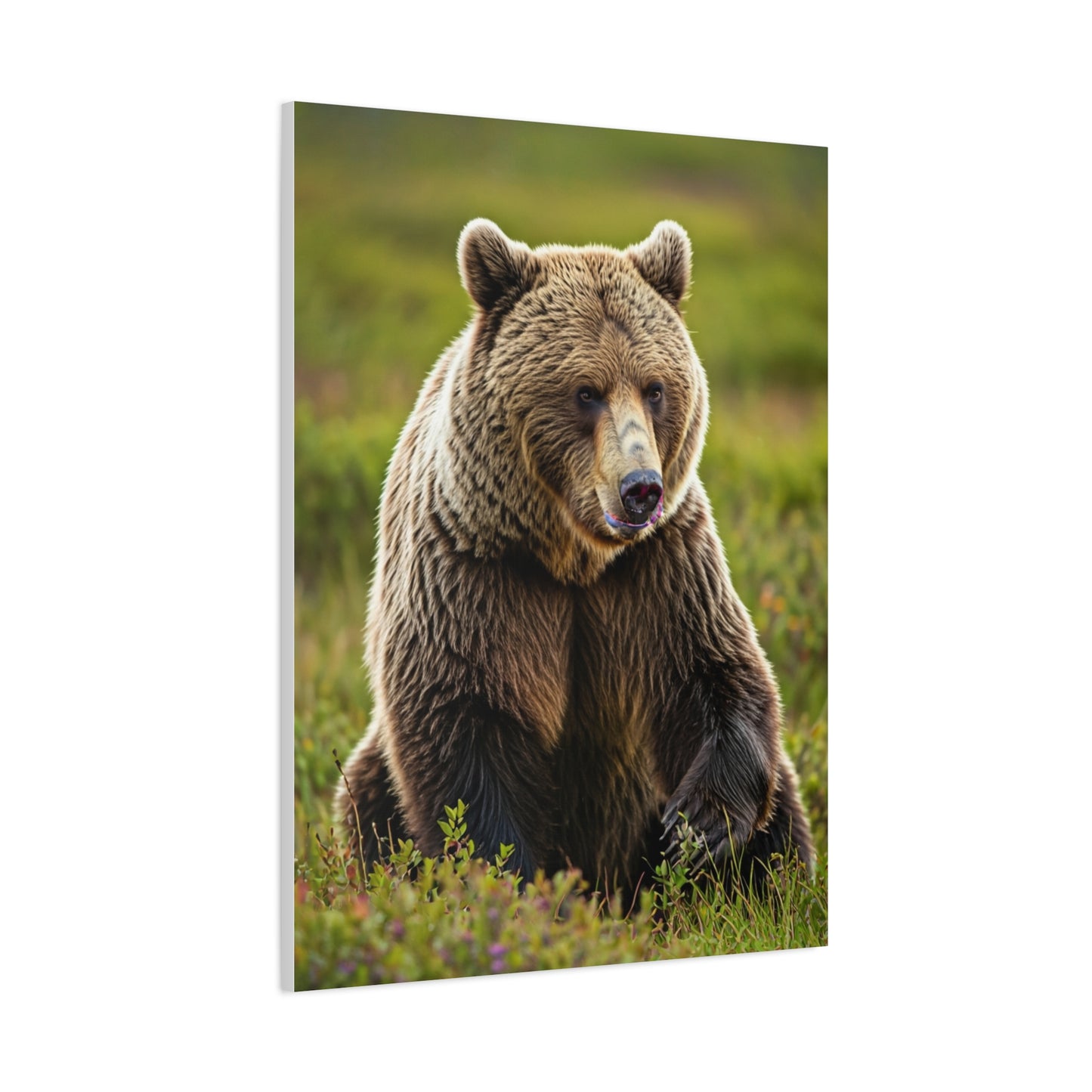 Wild Brown Bear Portrait wall art & canvas prints