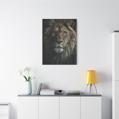 Lion Close Portrait Intense Gaze Wall Art & Canvas Print