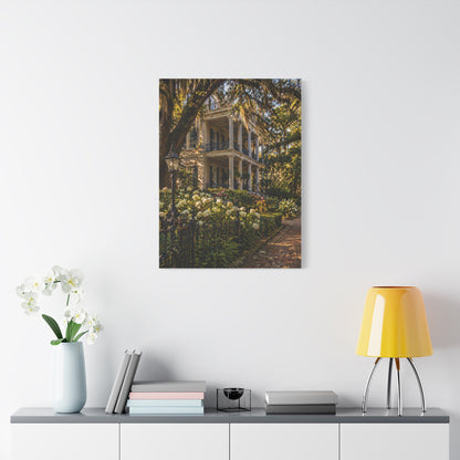 Garden District Mansion Under Live Oaks Wall Art & Canvas Print