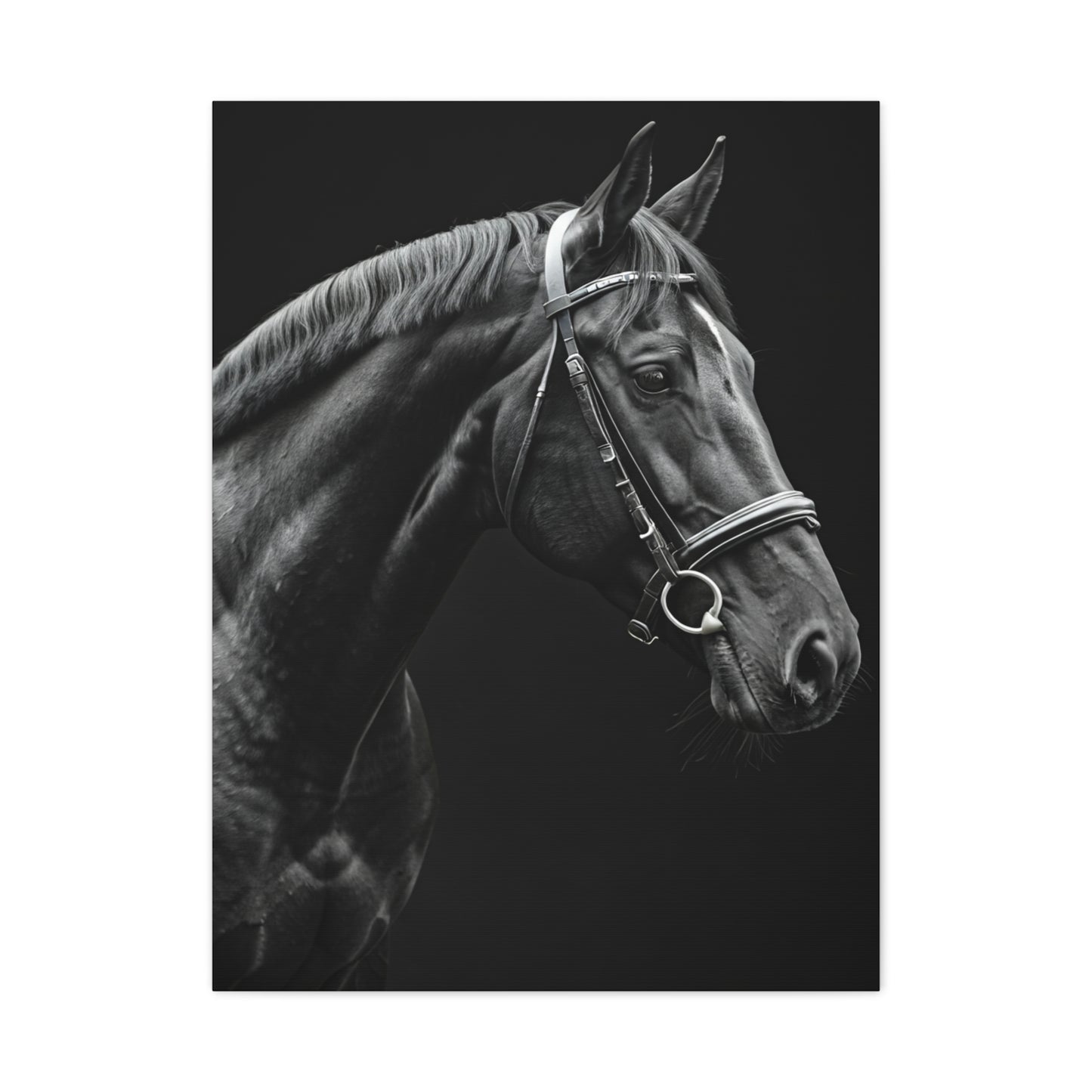 Elegant Black Stallion Profile Wall Art & Canvas Prints