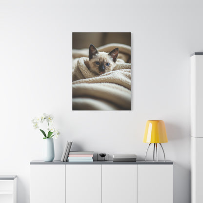 Cozy Kitten Comfort Wall Art & Canvas Prints