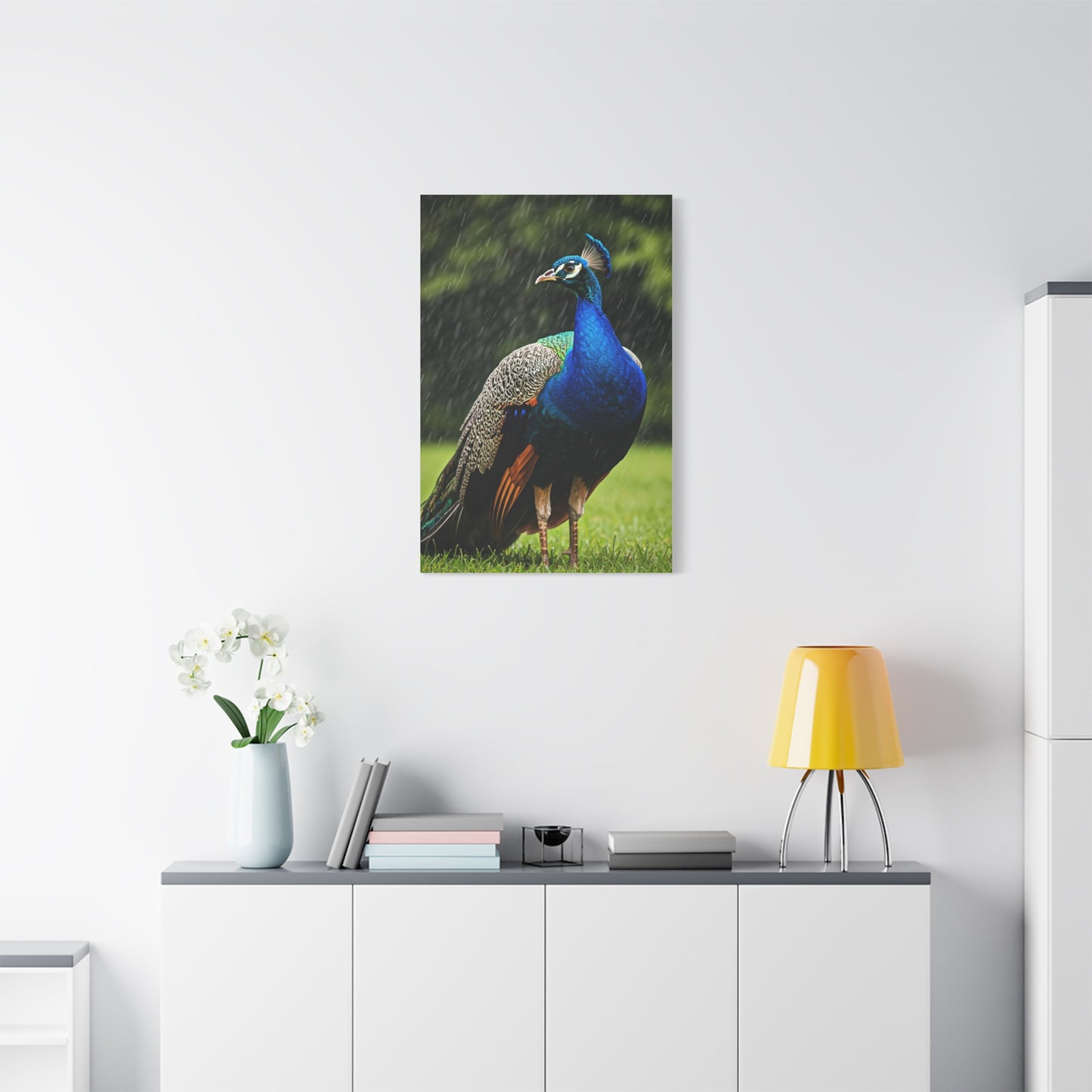 Majestic Peacock in the Rain Wall Art & Canvas Prints