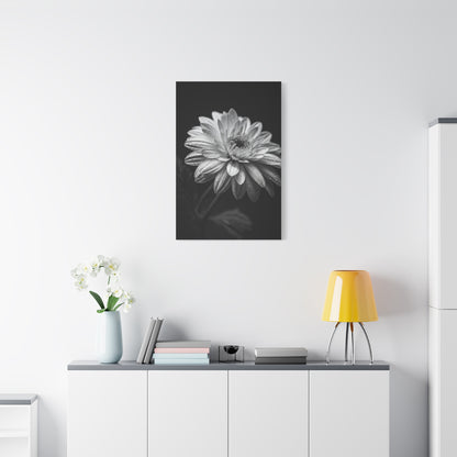 Peony Elegance in Monochrome Wall Art & Canvas Prints