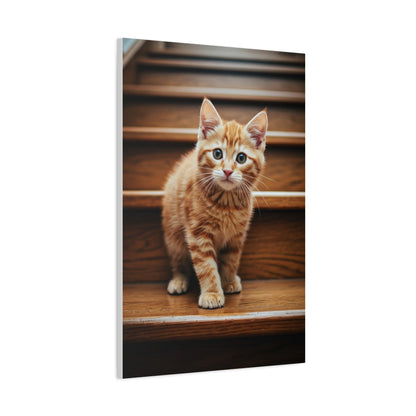 Curious Kitten on Wooden Steps Wall Art & Canvas Prints