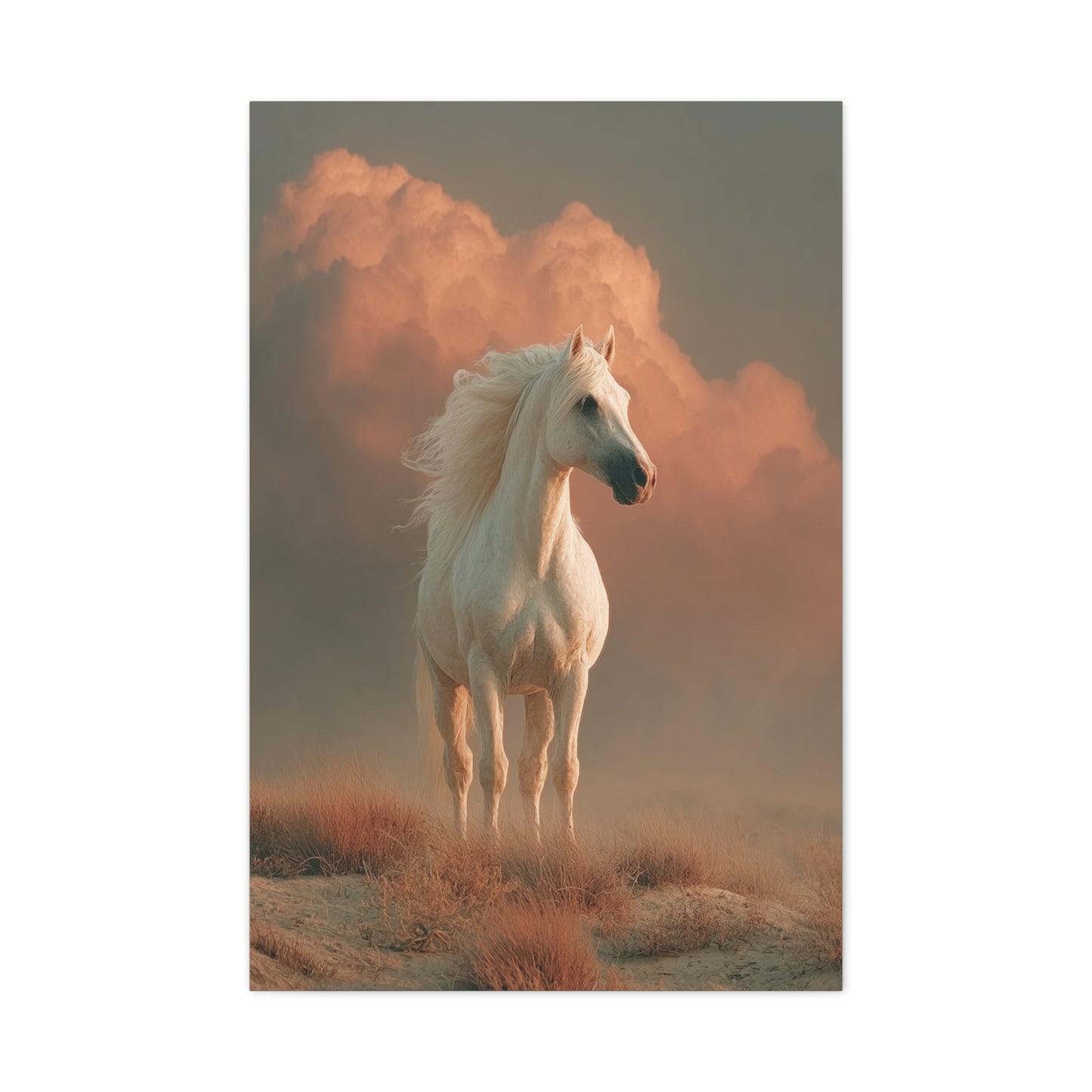 White Arabian Horse Golden Cloud Portrait Wall Art & Canvas Print