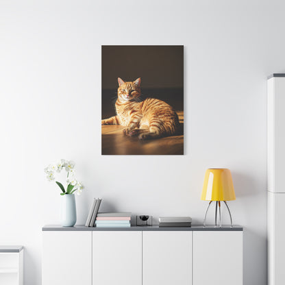Sunlit Feline Serenity Wall Art & Canvas Print