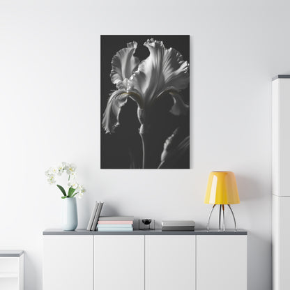 Elegant Iris in Shadowed Light Wall Art & Canvas Prints