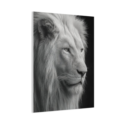 White Lion Monochrome Close Portrait Wall Art & Canvas Print