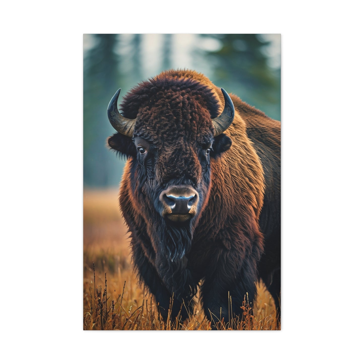 American Bison in Autumn Prairie Light Wall Art & Canvas Print