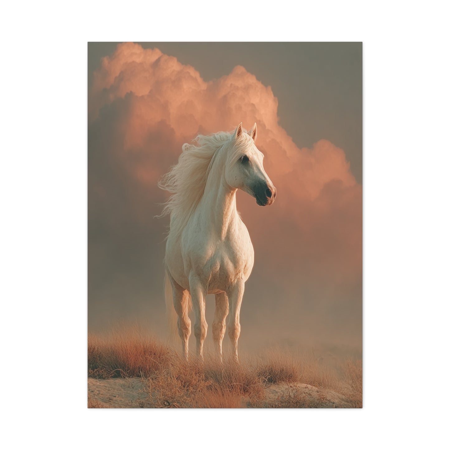 White Arabian Horse Golden Cloud Portrait Wall Art & Canvas Print