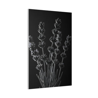 Lavender Silhouette Study Wall Art & Canvas Prints