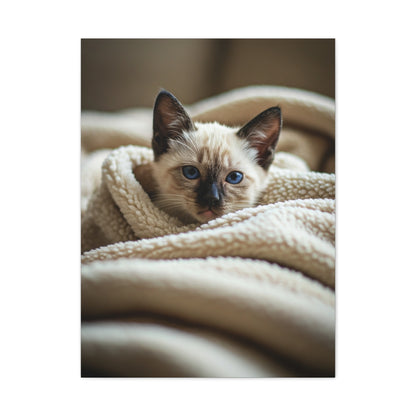 Cozy Kitten Comfort Wall Art & Canvas Prints