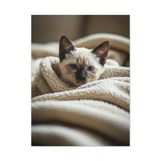 Cozy Kitten Comfort Wall Art & Canvas Prints