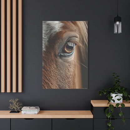 Horse Eye Macro Emotional Detail Wall Art & Canvas Print