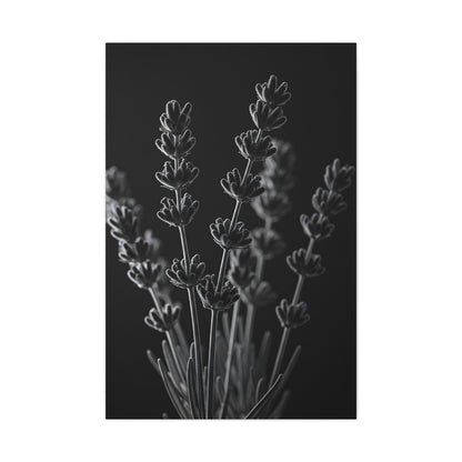 Lavender Silhouette Study Wall Art & Canvas Prints